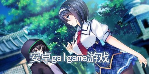 安卓gal游戏公众号,公众号带你领略精彩游戏世界