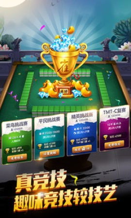 天天牌九安卓游戏,牌技与策略的极致对决