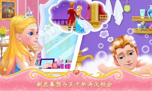 安卓公主日记小游戏,梦幻冒险之旅