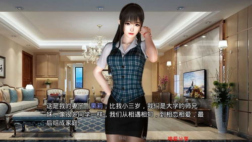 孝顺的妻子游戏安卓,体验温馨家庭生活