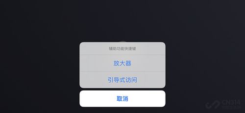 盲人游戏app安卓苹果,安卓与苹果平台共筑无障碍娱乐新体验