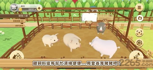 养猪场游戏安卓,打造你的绿色财富帝国