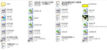 ons安卓怎么打开游戏,ONS操作指南