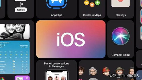 苹果安卓联机扑克游戏,苹果安卓联机扑克游戏的精彩对决