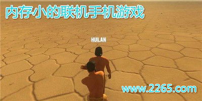 小内存联机游戏安卓,无限欢乐