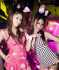 日本赌场美女安卓游戏,日本美女赌神安卓游戏大揭秘