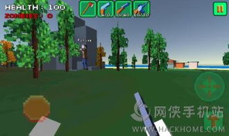 安卓岛上生存的游戏,挑战极限的冒险之旅