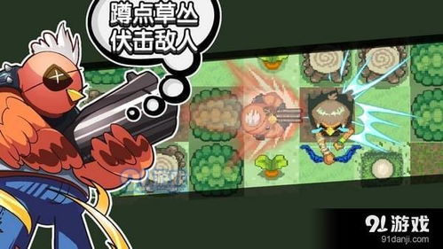 菜鸡安卓版游戏,趣味横生的休闲竞技之旅