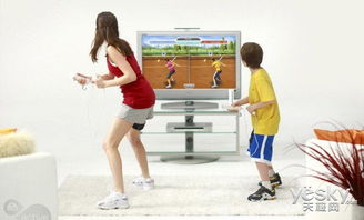 wii安卓版游戏资源,畅享移动平台新体验