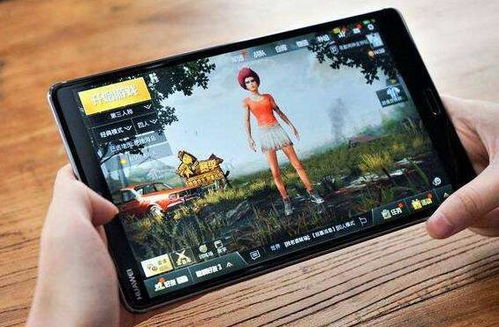 游戏平板安卓吃鸡,安卓平板版吃鸡游戏深度解析