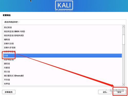安卓平板装kali linux系统,Kali Linux系统安装指南