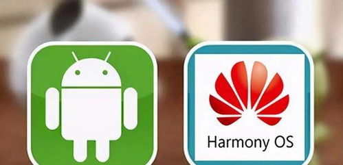 安卓系统怎么找蜘蛛牌