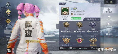 和平精英安卓换鸿蒙系统,畅享全新体验